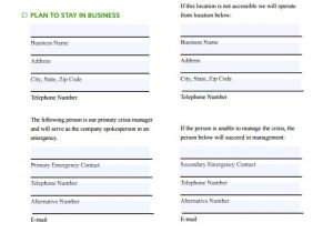 Free Fillable Business Plan Template Business Action Plan Templates 8 Samples Examples format