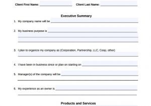 Free Fillable Business Plan Template Small Business Plan Template 9 Download Free Documents