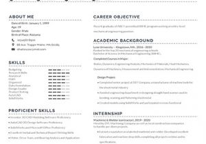 Free Fresher Resume format Download for Engineering 187 Free Resume Templates Download Ready Made