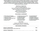 Free Hr Professional Resume Templates Human Resources Professional Resume Airexpresscarrier Com