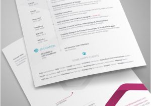 Free Indesign Resume Template 8 Sets Of Free Indesign Cv Resume Templates Designfreebies