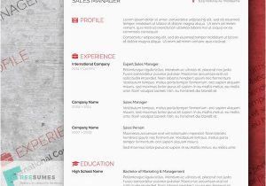 Free Indesign Template Resume 85 Free Cv Indesign Resume Templates In Ai HTML Psd