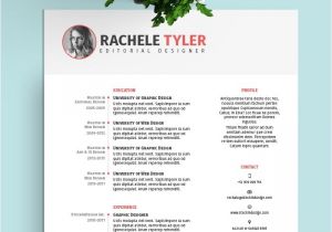Free Indesign Template Resume Free Indesign Resume Template Stockindesign