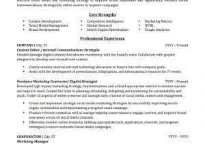 Free Marketing Resume Templates Advertising Marketing Resume Sample Professional