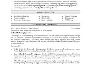 Free Marketing Resume Templates Digital Marketing Resume Sample Resume Resume Examples