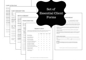 Free Professional organizer Contract Template Client forms for Professional organizers Time to organize