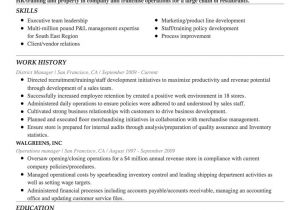 Free Professional Resume Builder Free Resume Builder Online Create A Professional Resume