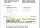 Free Professional Resume Examples and Samples Professional Resume Templates Sample Free Samples