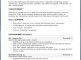 Free Professional Resume Template Download Free Professional Resume Templates Download Resume Downloads