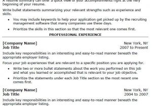 Free Professional Resume Templates Free 40 top Professional Resume Templates
