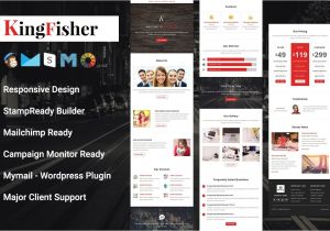Free Responsive Email Template Mailchimp Kingfisher Responsive Email Template Email Templates