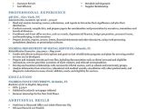 Free Resume Samples 80 Free Professional Resume Examples by Industry