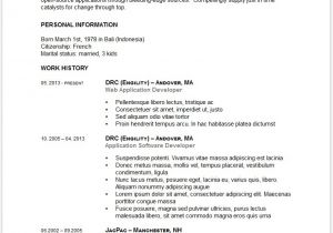 Free Resume Template Doc 12 Free Minimalist Professional Microsoft Docx and Google