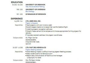 Free Resume Template Pdf Pdf Resume Template Learnhowtoloseweight Net