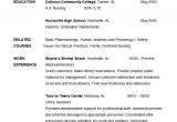 Free Resume Templates for Students 36 Student Resume Templates Pdf Doc Free Premium