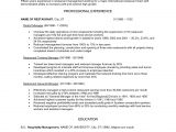 Free Resume Templates for Word Starter 2010 Unique Bank Project Manager Sample Resume Resume Daily