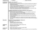 Free Samples Of Resumes 80 Free Professional Resume Examples by Industry