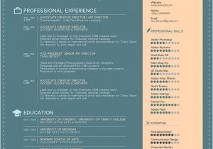 Free-simple-professional-resume-template-in-vector-format Free Simple Professional Resume Template In Ai format