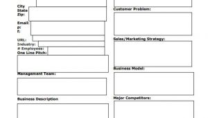 Free Startup Business Plan Template Pdf How to Write A Successful Business Plan Free Premium