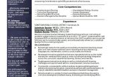 Free Teacher Resume Templates 50 Teacher Resume Templates Pdf Doc Free Premium