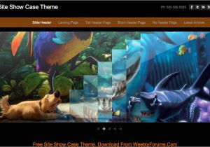 Free Weebly themes and Templates Information About Freeweeblythemes Weebly Com Free Weebly