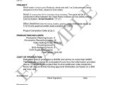 Freelance Video Editing Contract Template 5 Freelance Video Contract Templates Word Google Docs