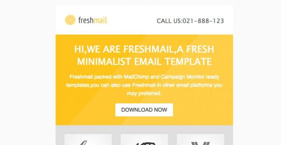 Freshmail Responsive Email Template Free Download 32 Responsive Email Templates for Your Small Business