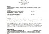 Freshman College Student Resume 15 College Resume Templates Pdf Doc Free Premium