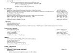 Freshman College Student Resume College Freshman Resume Template Google Search College