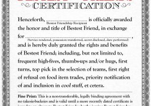 Friendship Contract Template Howtobeadad Com if Kids Had Legal Documents 5 Joke