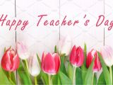 Front Page Of Teachers Day Card Happy Teachers Day with Tulip Flower Message for Teacher In