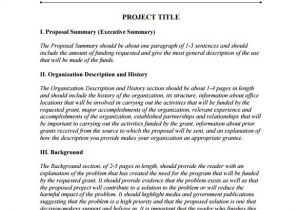 Funding Proposal Template Doc 13 Funding Proposal Templates Doc Pdf Excel Free