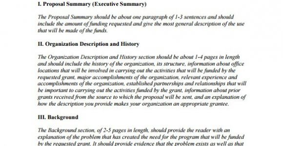 Funding Proposal Template Doc 13 Funding Proposal Templates Doc Pdf Excel Free