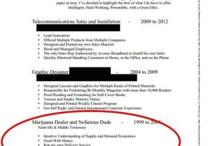 Funny Cv Template Funny Real Resumes Damn Cool Pictures