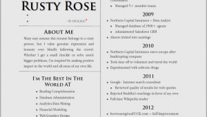 Funny Cv Template Funny Real Resumes Damn Cool Pictures