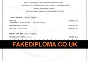 Gcse Certificate Template Essays that Will Get You Into College Free Essay Help Uk
