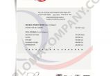 Gcse Certificate Template Fake Gcse Certificate Diplomacompany Com