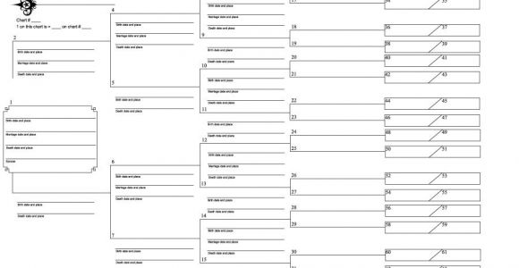 Geneology Templates 50 Free Family Tree Templates Word Excel Pdf