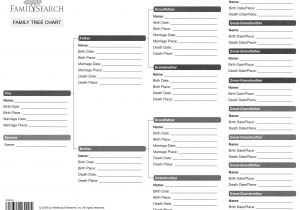 Geneology Templates Blank Family Tree form Welcome to Past Perfect Genealogy
