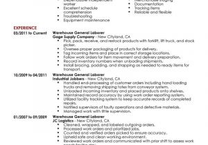 General Basic Resume Best General Labor Resume Example Livecareer