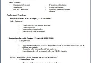 General Job Application Resume General Manager Resume format for Job Application In Word