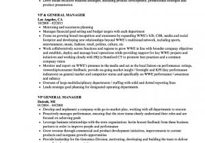 General Manager Resume Sample Vp General Manager Resume Samples Velvet Jobs