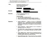 General Resume format Word File Lawyer Resume Template 10 Free Word Excel Pdf format