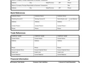 Generic Blank Resume Credit Application Template 40 Free Credit Application