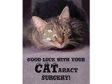 Get Well soon and Happy Birthday Card Good Luck with Your Cataract Surgery Card with Images