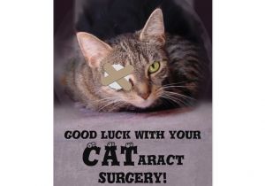 Get Well soon and Happy Birthday Card Good Luck with Your Cataract Surgery Card with Images