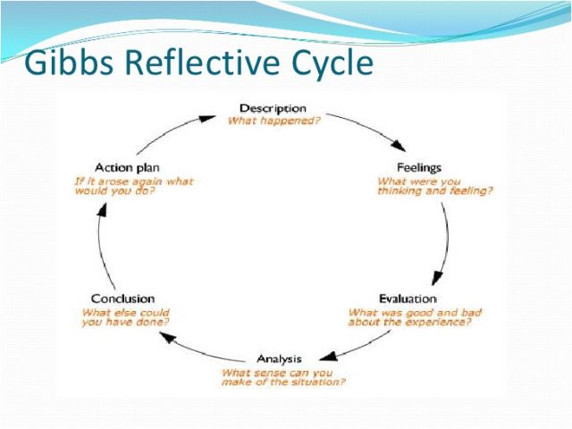 gibbs reflective cycle critique