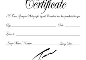 Gift Certificate Template for Photographers Gift Certificate Template 8 Free Word Pdf Document