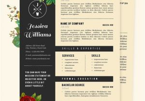 Girly Resume Templates Hipster Resume Cv Template Pkg Resume Templates On