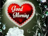 Good Morning My Love Card Pin by Salm Noor On Nice Flowers with Images Good